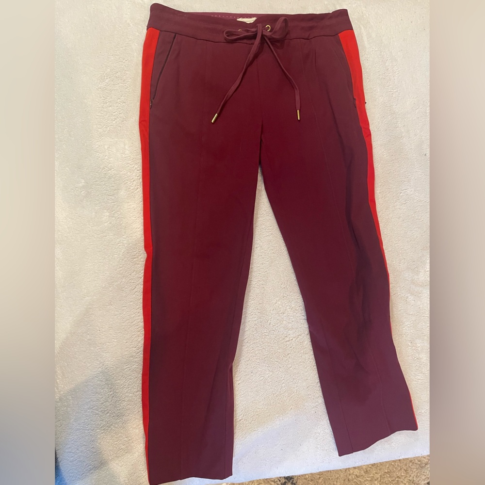Anthropologie Deep Red tux stripe crop skinny pants